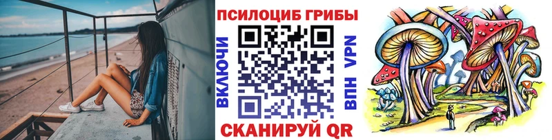 купить  цена  Пыть-Ях  Псилоцибиновые грибы прущие грибы 